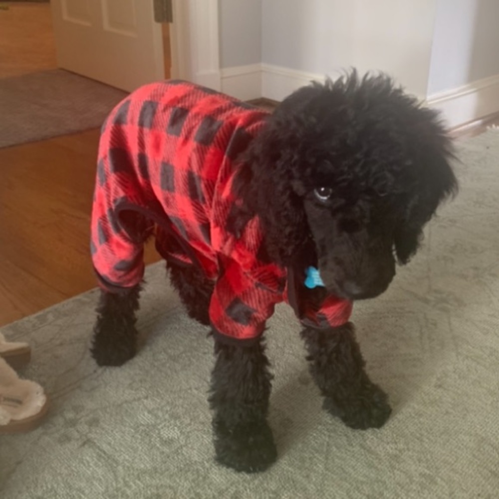 Red and black plaid dog PJs